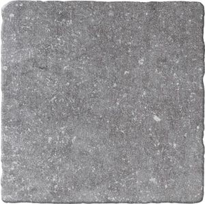 Bluestone Gris vloertegel beton look 20x20 cm grijs mat