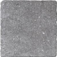 Bluestone Gris vloertegel beton look 20x20 cm grijs mat