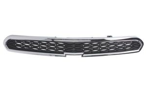Radiateurgrille 6502071120992P