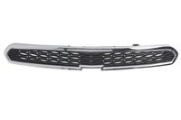 Radiateurgrille 6502071120992P