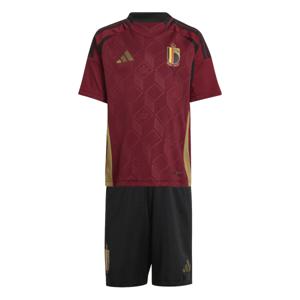 adidas België Thuis Minikit 2024-2026 Peuters/Kleuters