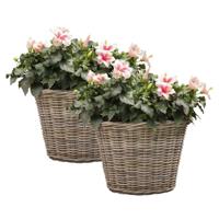 Mega Collections Planten of bloemen mand - 2x - D60 x H45 cm - rond - rotan gevlochten - bloempot