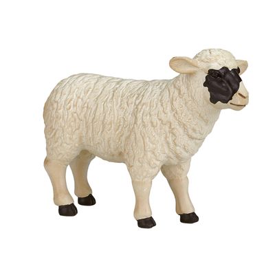Mojo farmland zwartkopschaap ooi 387058