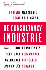 De consultancy industrie (Paperback)
