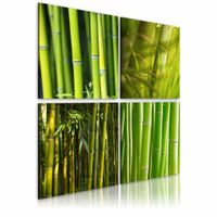 Schilderij - Bamboes, Groen, 4luik , premium print op canvas