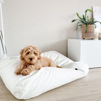 Dog's Companion® Hondenbed white sand medium