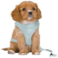 Hondentuig junior puppy softtuig met riem mintgroen