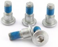 TRW -lucas bout screw 5pcs. m8x1,25