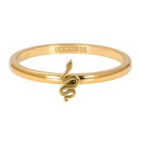 iXXXi Vulring Symbol Snake Goud