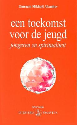 Een toekomst voor de jeugd (Hardback)