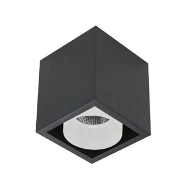 Spot Aquasplash Regina Aluminium 745Lm 9,2W Zwart Met Witte Anti-Glare Ring Aquasplash