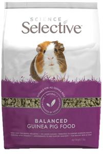 Science selective guinea pig