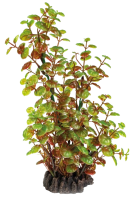 Superfish Art Plant 25 cm Rotala