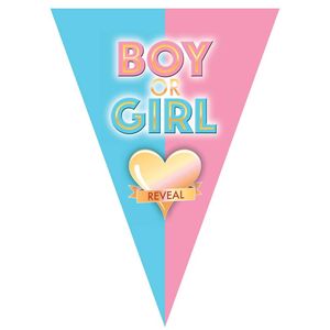 Gender reveal babyshower thema vlaggetjes slinger/vlaggenlijn van 5 meter - Vlaggenlijnen