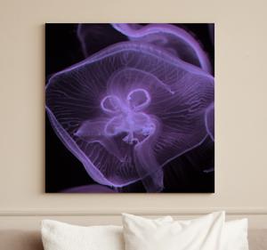 Andere dieren schilderij op canvas Kwallen kunst
