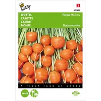 Zomerwortel Parijse Markt 4