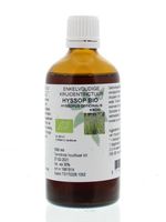 Natura Sanat Hyssopus officinalis herba / hyssop tinctuur bio (100 ml) - thumbnail