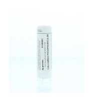 Calcarea phosphorica D6
