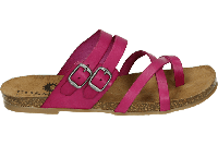 Cosmos 6106801 - alle Cosmos 6106801 - alle