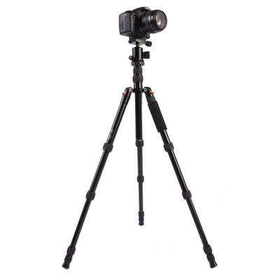Triopo MT-2505C Adjustable Portable Aluminum Tripod (Gold) with NB-1S Ball Head (Black) for Canon Nikon Sony DSLR Camera