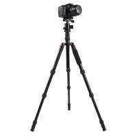 Triopo MT-2505C Adjustable Portable Aluminum Tripod (Gold) with NB-1S Ball Head (Black) for Canon Nikon Sony DSLR Camera