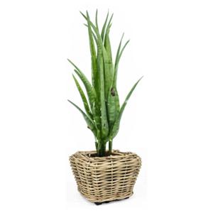 Planten/bloemen mand - rechthoekig - rotan - gevlochten riet - 48 x 48 x 37 cm - drypot