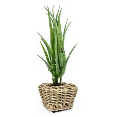 Planten/bloemen mand - rechthoekig - rotan - gevlochten riet - 48 x 48 x 37 cm - drypot