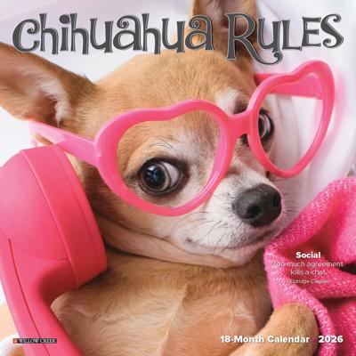 Chihuahua Kalender 2026 Mini