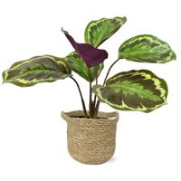 Calathea Ornata kunstplant 25cm