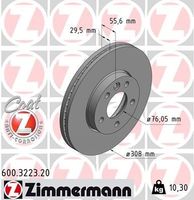 Remschijf Coat Z 600322320