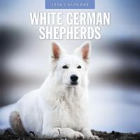 Witte Herder Kalender 2026
