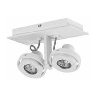 Artdelight Witte opbouwspotMeist 2-lichts - PL MEIST2-B WIT