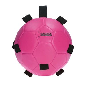 Maximus Fun Play Ball roze