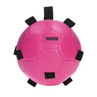 Maximus Fun Play Ball roze - thumbnail