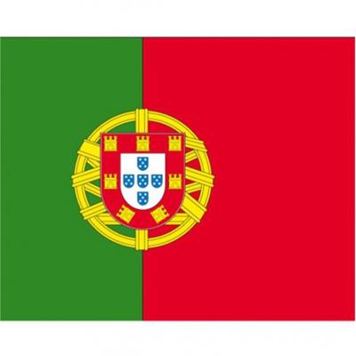 Vlag van Portugal stickers - 7 x 10 cm - Landen - Portugese vlaggetjes