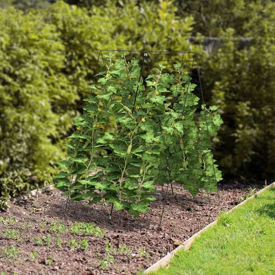 8-delige Groene Tuinsteun voor Klimplanten Klimhulp Roosterspalier voor Tomaten Groenten 122 x 86 cm