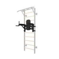Toorx Professional Dip Station voor LDX-3000 Wallbar