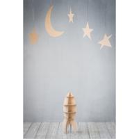 StudioKing Achtergronddoek RSG1 2x3m met Print