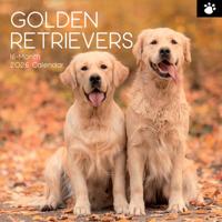 Golden Retriever Kalender 2026
