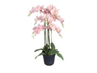 Orchidee kunstplant 9-tak 110 cm, roze - Buitengewoon de boet