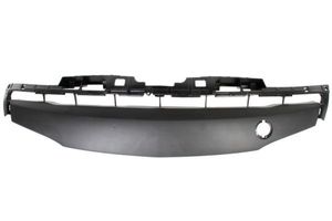 Plaat, bumper 6502073477914P