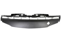 Plaat, bumper 6502073477914P