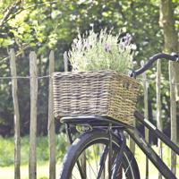 Fietsmand rotan van vergrijsd rotan - Middel