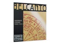 Thomastik Infeld THBC-64C extended contrabassnaar C-5 4/4-3/4