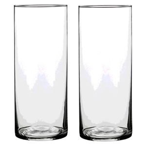 2x Glazen cilinder vaas/vazen 30 x 12 cm rond