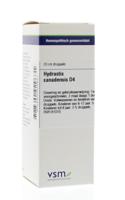 VSM Hydrastis canadensis D4 (20 ml)