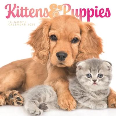 Kittens en Puppies Kalender 2026