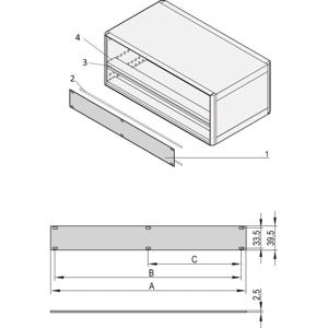 nVent SCHROFF 20850426 Frontpaneel 2 stuk(s)