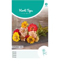 2 stuks - Hortitops - Zinnia Peppermint Stick - thumbnail