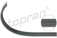 Topran Poly V-riem 304 617 - thumbnail